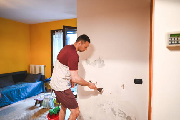 Best Best Mold Removal Companies  in Belleville, MI